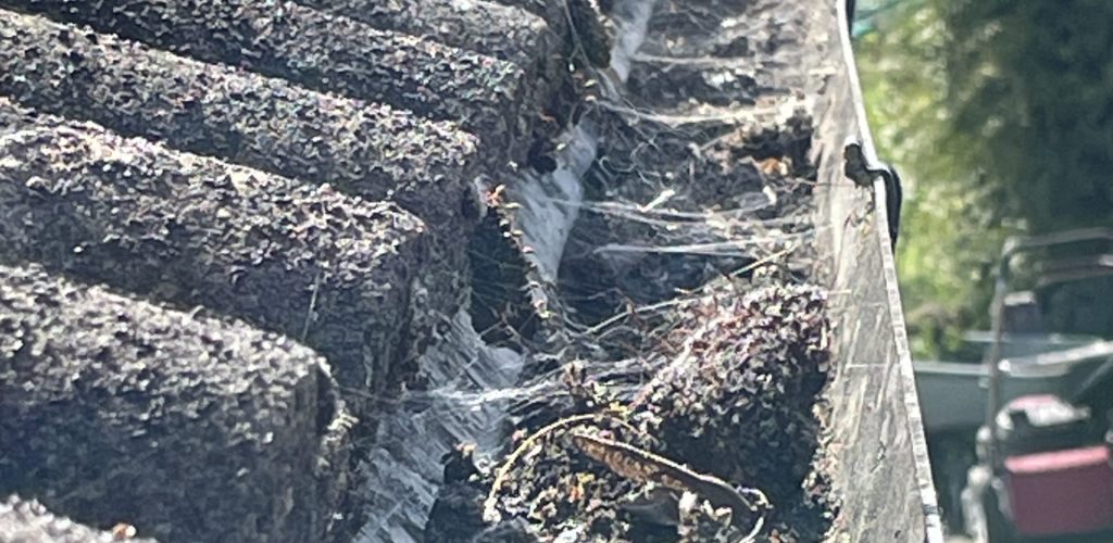 Photo 11-04-2025, 12 09 37